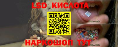 гидра Гай
