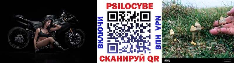 Галлюциногенные грибы прущие грибы  Волжский 